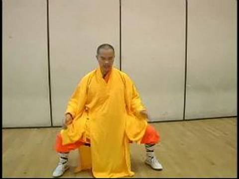 Yumruk Shaolin Kung Fu Elmas : Kung Fu Elmas Yumruk Hamle 4 Resim 1