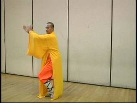 Yumruk Shaolin Kung Fu Elmas : Kung Fu Elmas Yumruk Hamle 5