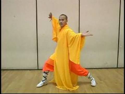 Yumruk Shaolin Kung Fu Elmas : Kung Fu Elmas Yumruk Hamle 6