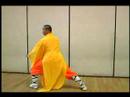 Elmas Yumruk Shaolin Kung Fu : Kung Fu