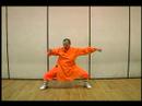 Elmas Yumruk Shaolin Kung Fu : Shaolin Sürekli Boks Hamle 2