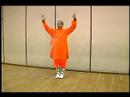 Elmas Yumruk Shaolin Kung Fu : Shaolin Sürekli Boks Hamle 5