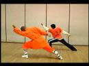 Shaolin Küçük Kırmızı Boks Ve Uzun Yumruk Formlar: Kung Fu Uzun Yumruk Hamle 19-24