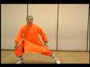 Shaolin Kung Fu Uzanıyor Ve Hamle: Shaolin Kung Fu Boks Adım Beş
