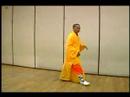 Yumruk Shaolin Kung Fu Elmas : Kung Fu Elmas Yumruk Hamle 7
