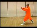 Shaolin Küçük Kırmızı Boks Ve Uzun Yumruk Formlar: Kung Fu Küçük Kırmızı Boks Hamle 25-30 Resim 3