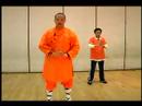 Shaolin Küçük Kırmızı Boks Ve Uzun Yumruk Formlar: Kung Fu Uzun Yumruk Hamle 1-6 Resim 3