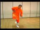 Shaolin Küçük Kırmızı Boks Ve Uzun Yumruk Formlar: Kung Fu Uzun Yumruk Hamle 25-32 Resim 3