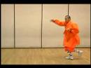 Shaolin Kung Fu Uzanıyor Ve Hamle: Shaolin Kung Fu Boks Adım Beş Resim 3