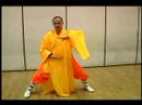 Yumruk Shaolin Kung Fu Elmas : Kung Fu Elmas Yumruk Hamle 4 Resim 3