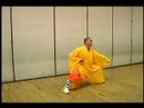Yumruk Shaolin Kung Fu Elmas : Kung Fu Elmas Yumruk Hamle 6 Resim 3