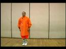 Elmas Yumruk Shaolin Kung Fu : Shaolin Sürekli Boks Hamle 1 Resim 4