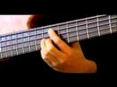Nasıl Bas Gitar Ölçekler Play: Nasıl Bas Tonların Zorunlu Resim 4