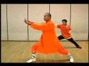 Shaolin Küçük Kırmızı Boks Ve Uzun Yumruk Formlar: Kung Fu Uzun Yumruk Hamle 1-6 Resim 4