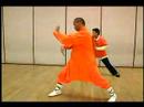 Shaolin Küçük Kırmızı Boks Ve Uzun Yumruk Formlar: Kung Fu Uzun Yumruk Hamle 19-24 Resim 4