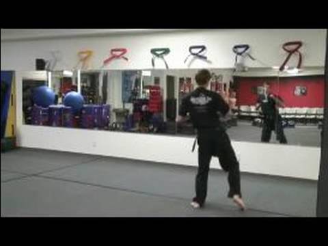 Tae Kwon Grev Ve Tekmeler Yapın : Taekwondo Roundhouse Kick Jump Geri 