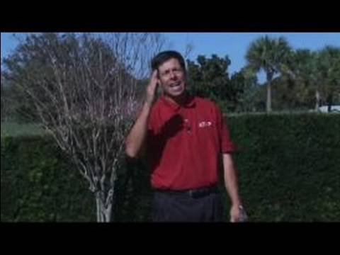 Bir Golf Topu Nasıl Golf Swing Hammer :  Resim 1