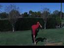 Çekiç Golf Salıncak : Golf Aıds Gibi Pipet Kullanarak  Resim 4