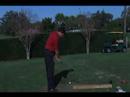 Çekiç Golf Swing Golf Swing Hammer Arka Salıncak  Resim 4