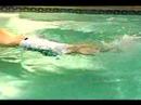 Serbest Stil Yüzme Teknikleri: Nasıl Flutterkick Serbest Stil Yüzme İçin Yapılır Resim 4