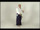 Aikido Dövüş Kılıç: Ken-Gi Bir: Arka Köşe Shomenuchi: Aikido Ken-Gi Bir Resim 3