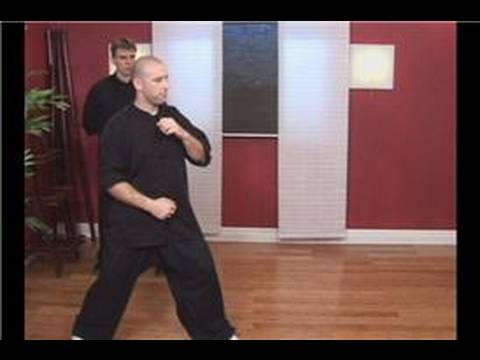 Yan Tekme Kung Fu : Kung Fu Arka Bacak Yan Tekme Resim 1