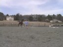Genç Bir At İle Temel Eğitim : Genç Bir At İle Değişen Yönleri  Resim 4