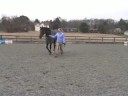 Genç Bir At İle Temel Eğitim : Soldan Bir ATI İdare  Resim 4