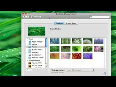 Mac Os X Leopard Genel Bakış: Mac Os X Leopard Masaüstü Resim 1