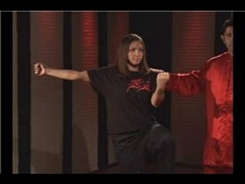 Kung Fu Tan Tui 1 : Kung Fu Kanca Yumruk Geçiş Sol Ters 