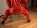 Kung Fu Tutumları: Kung Fu: Duruş Yürüyen At Resim 3