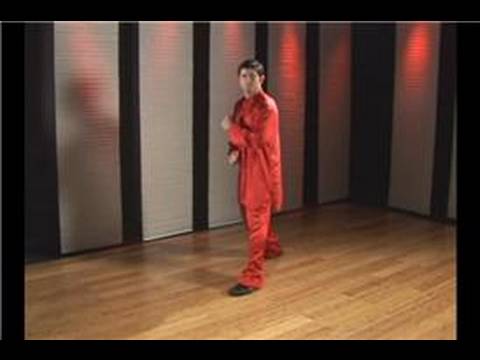 Kung Fu Teknikleri Tekme: Kung Fu Çapraz Arka Yan Tekme