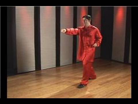Kung Fu Teknikleri: Tekme Kung Fu Kick Yumruk Resim 1