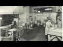 Salsa Fabrika: Casa Sanchez Salsa Şirket Tarihçesi