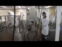 Salsa Fabrika: Salsa Fabrika Temizliği
