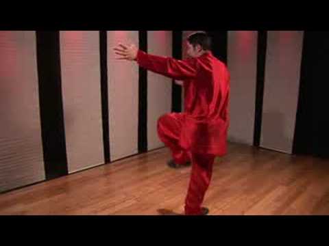 Kung Fu Kombinasyonları Tekme : Kung Fu Kombinasyonları: Toe Kick & Tornado Kick Jump 