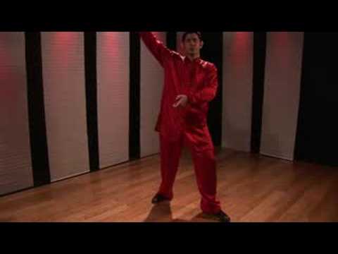 Kung Fu Tekme Kombinasyonları : Kung Fu Kombinasyonları: Daire Pençe, Kanca & Tekme