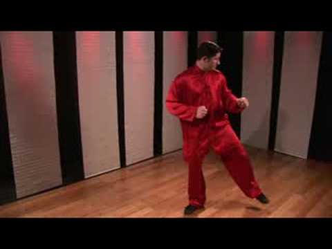 Kung Fu Tekme Kombinasyonları : Kung Fu Kombinasyonları: Shin Kick Ve Jumping Side Kick
