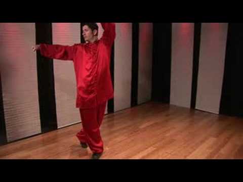 Kung Fu Kombinasyonları Başlangıç : Kung Fu Kombinasyonları: Dairesel Blok, Çelik Duruşu Ve Yumruk
