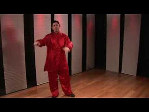 Kung Fu Kombinasyonları Başlangıç : Kung Fu Kombinasyonları: Palm Bloğu, Kanca Yumruk, Oturma Duruşu Ve Çift Kol Şut
