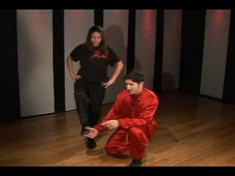 Kung Fu Temelleri: Kung Fu Temel Tutumları: Vinç