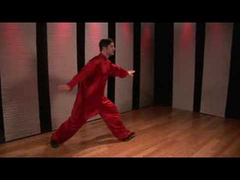 Kuzey Tarzı Kung Fu Tarak: Kuzey Tarzı Kung Fu Combo: Blok, Yumruk, Blok Ve Döner Tekme Basarak Ters Resim 1