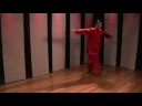 Kuzey Tarzı Kung Fu Tarak: Kuzey Tarzı Kung Fu Combo: Blok, Yumruk, Blok Ve Döner Tekme Basarak Ters Resim 4
