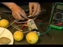Jöle, Limon Ve Patates İle Elektrik Devresi Deneyleri: Elektrik Devresi Deneyleri: Osilatör İşlevi