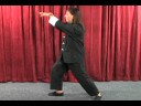 Tai Chi Hareketleri: Tai Chi Hareketi Geri Almak Almak Resim 3