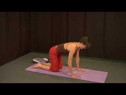 Yoga Isınma Egzersizleri : Yoga Kalça Sıcak Ups Resim 1