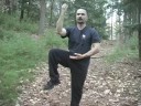 Başlangıç Tai Chi Hareketleri: Tai Chi Uyum Ve Bağlantıları Resim 4