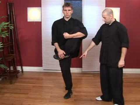 Kung Fu Teknikleri: Kung Fu Bao Tuı