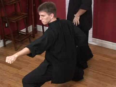 Kung Fu Teknikleri: Kung Fu Yan Yumruk Resim 1