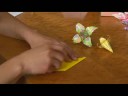 Temel Origami Formları : Origami: İris Bölüm 2